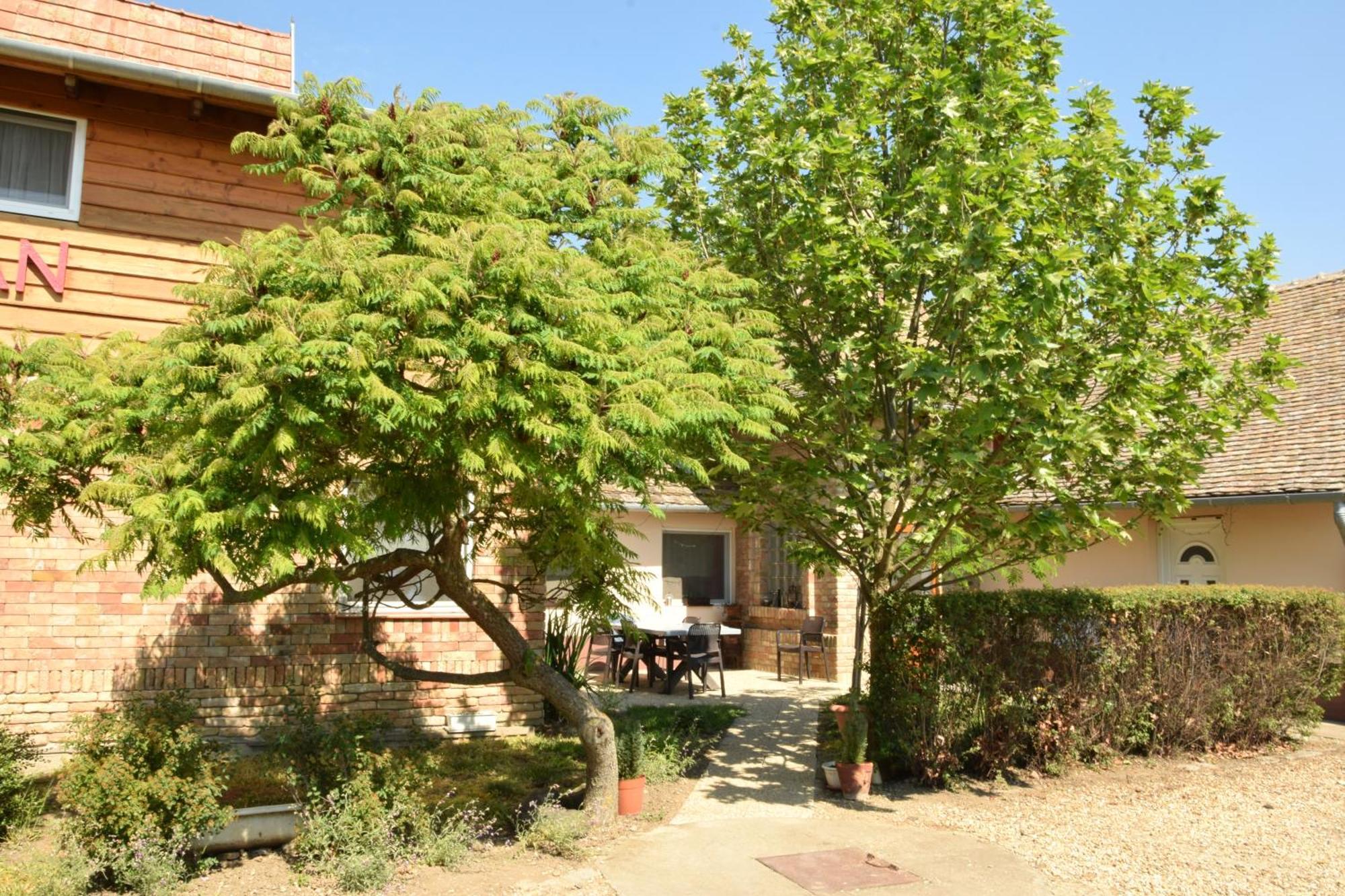 Appartamento Anna Apartman Maroslele Esterno foto