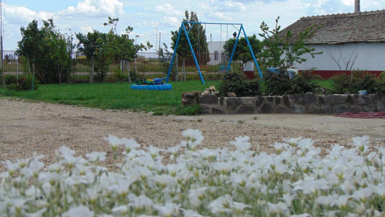 Appartamento Anna Apartman Maroslele Esterno foto